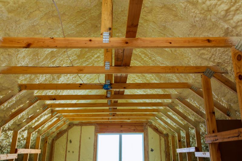 Ceiling Insulation Installation in Bastrop, TX