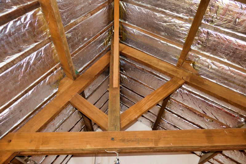 Ceiling Insulation Installation in Georgetown, TX